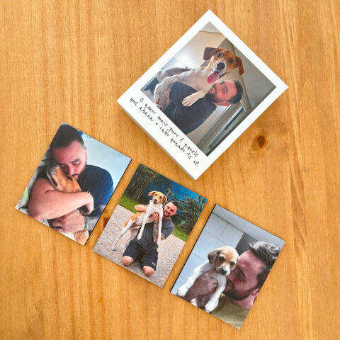 Kit Pai de Pet – Quadrinho e 3 Ímãs